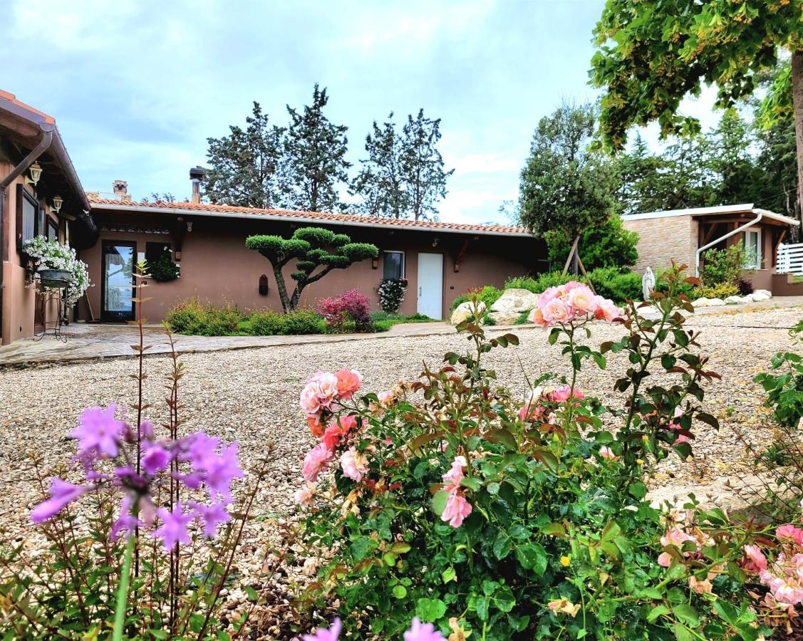 Vila La Collina Dei Cavalieri Belvedere Ostrense Exteriér fotografie