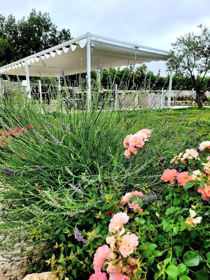 Vila La Collina Dei Cavalieri Belvedere Ostrense Exteriér fotografie