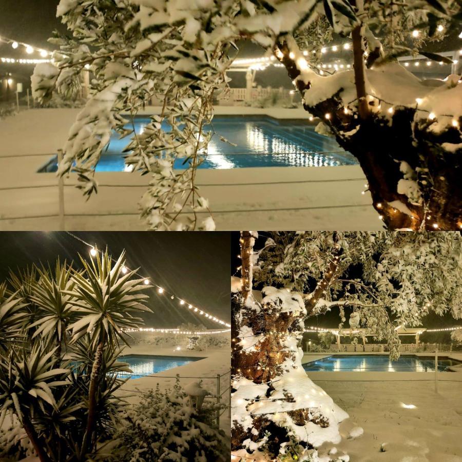 Vila La Collina Dei Cavalieri Belvedere Ostrense Exteriér fotografie